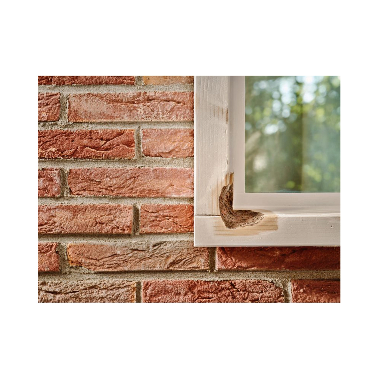 Alabastine Houtrotimpregneer - Transparant - 250ml-image