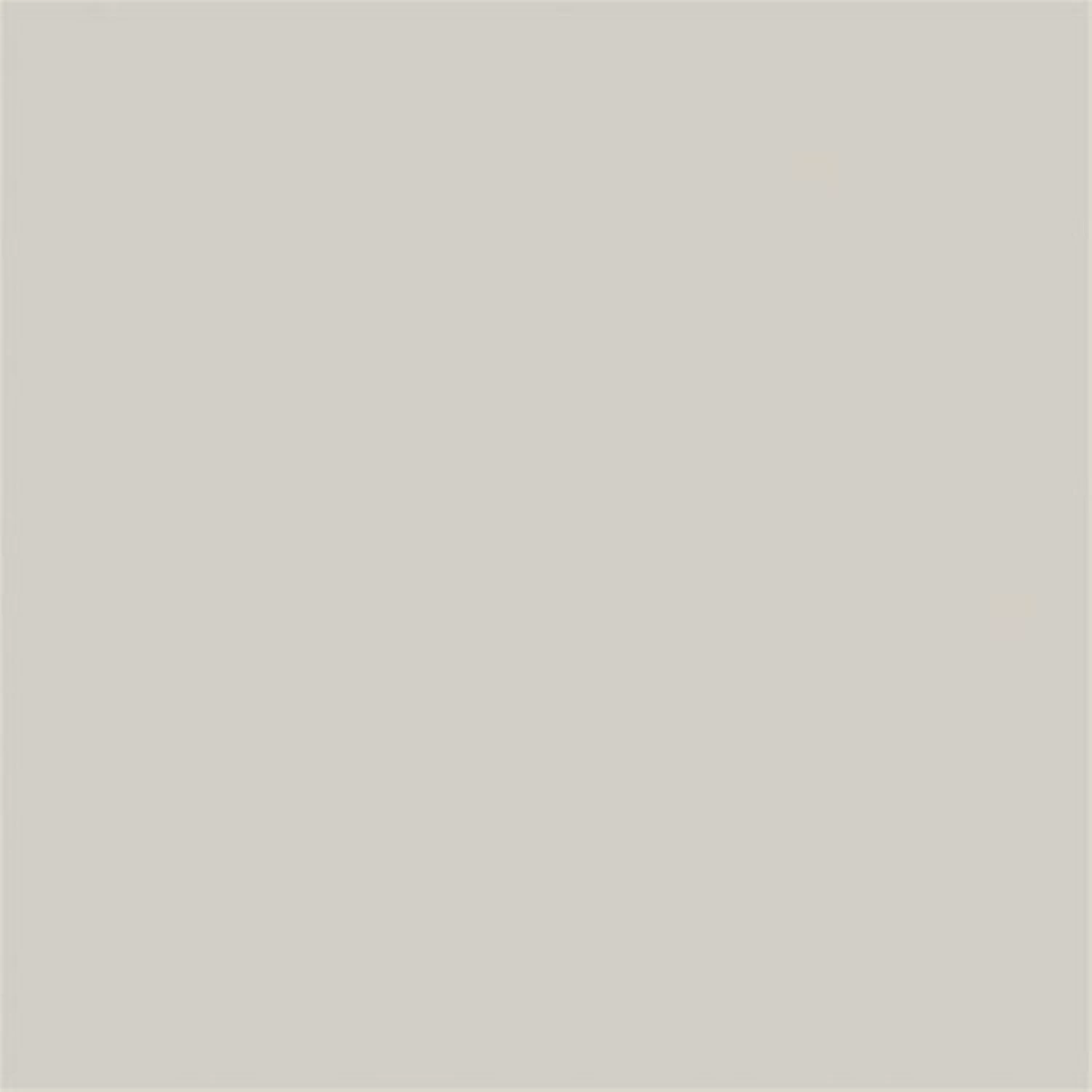 Sikkens 5797681 Rijks Tester Licht Grijs - 30ml-image