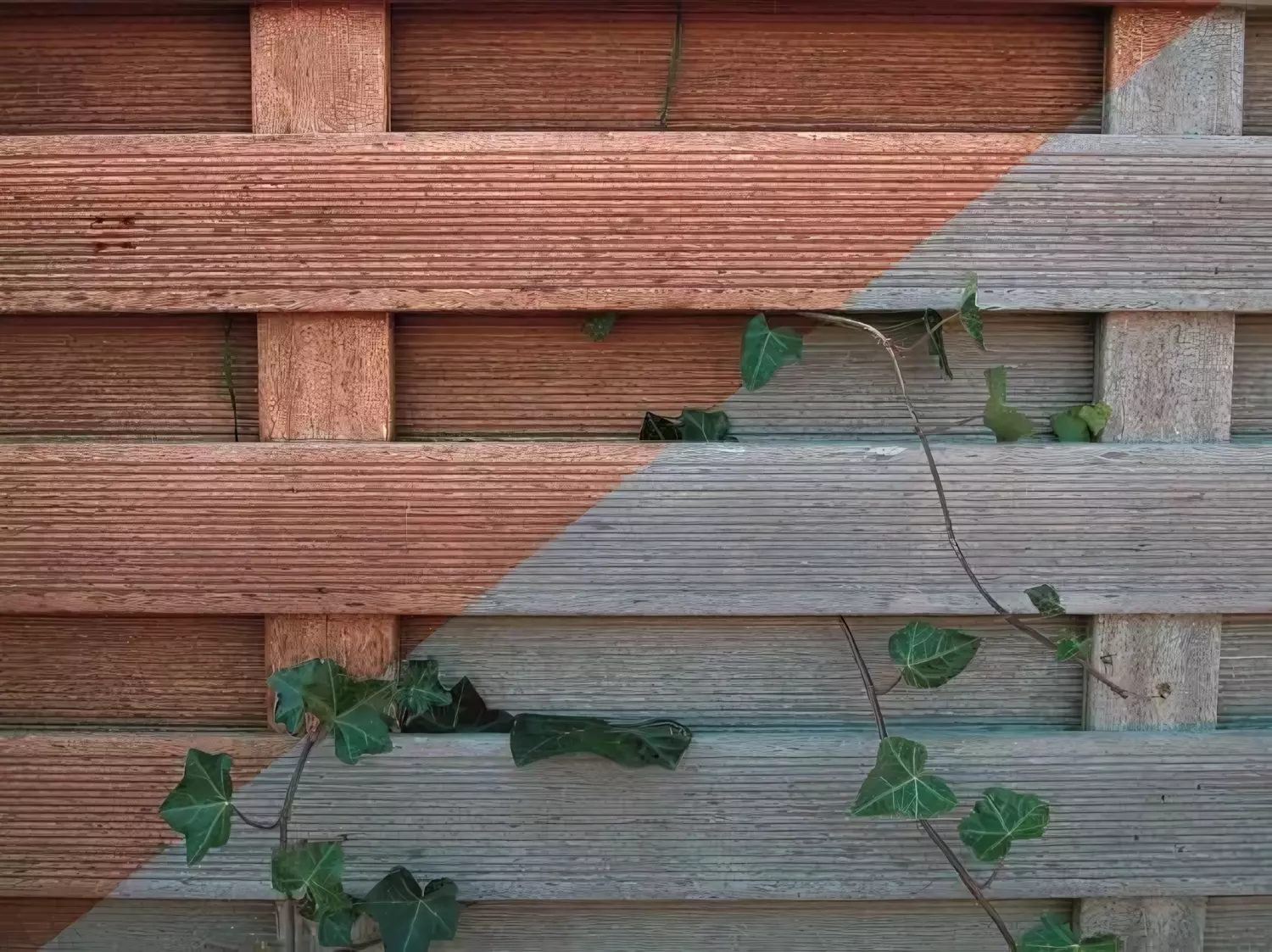 Tenco Bangkirai Olie - 1L-image