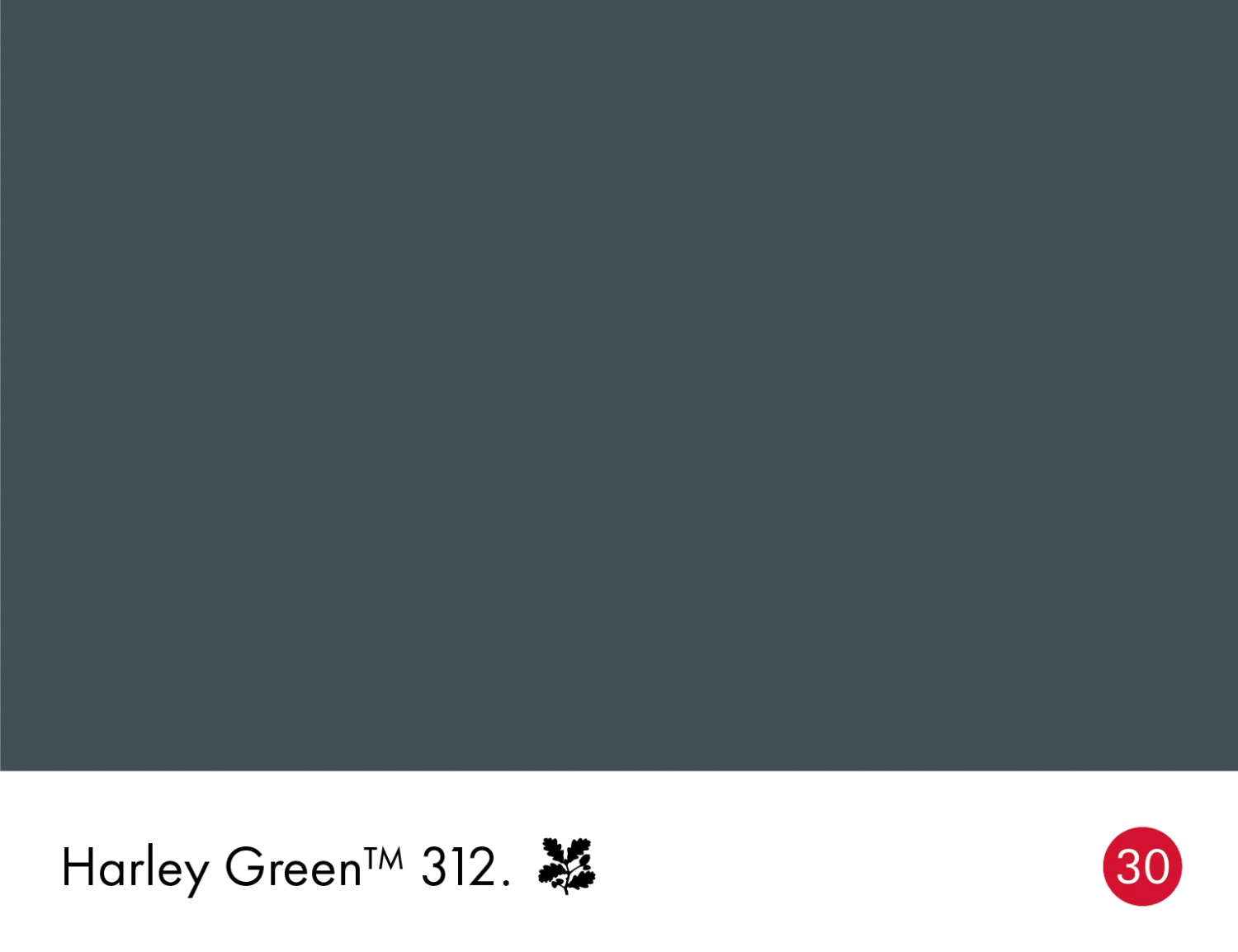 Little Greene Tom's Oil Eggshell - Harley Green No. 312 - 2,5L-image