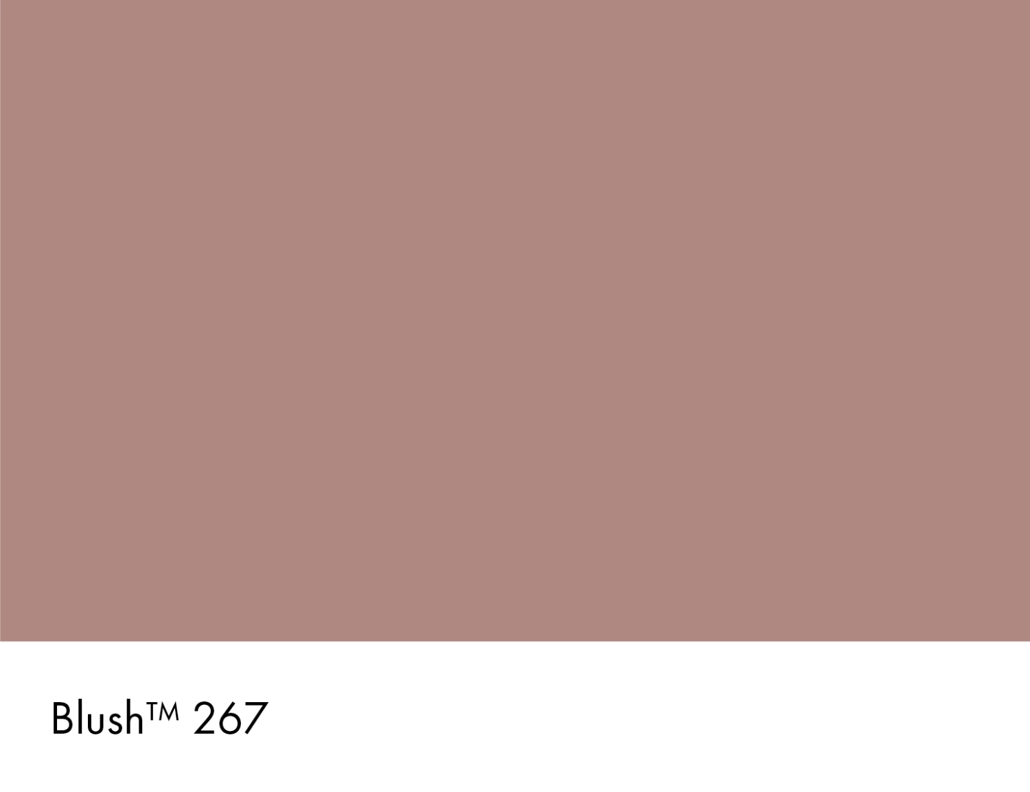 Little Greene Intelligent Eggshell - Blush No. 267 - 2,5L-image