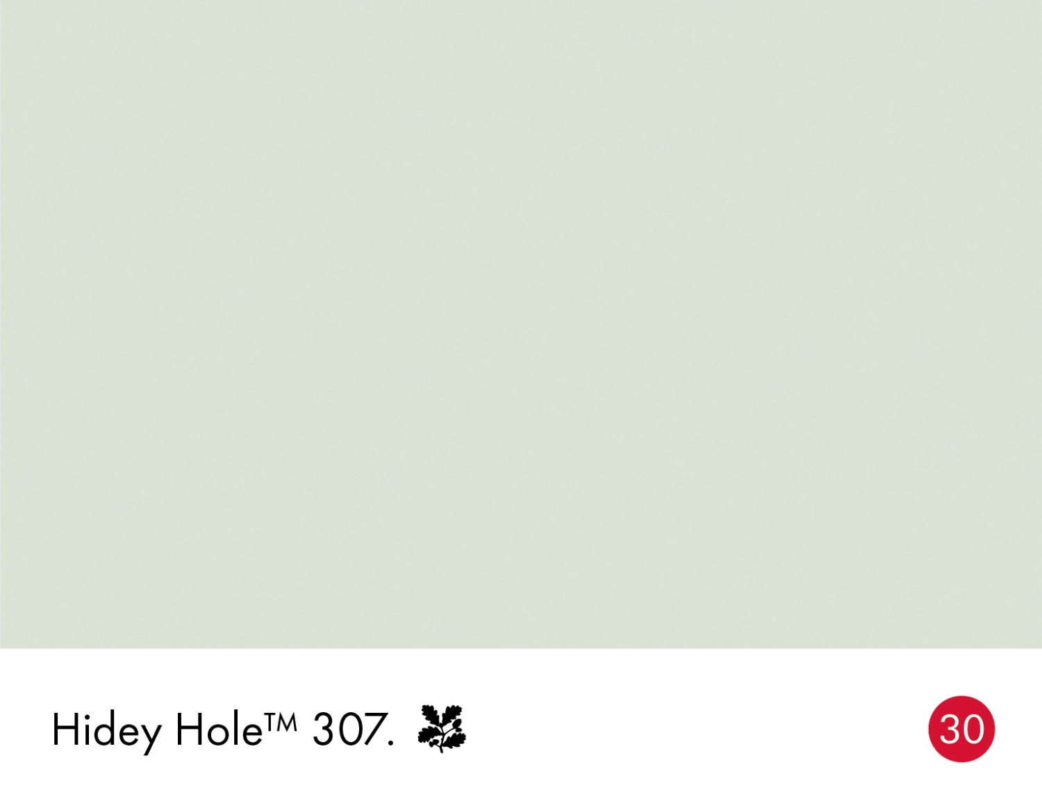 Little Greene Absolute Matt Emulsion - Hidey Hole No. 307 - 2,5L-image