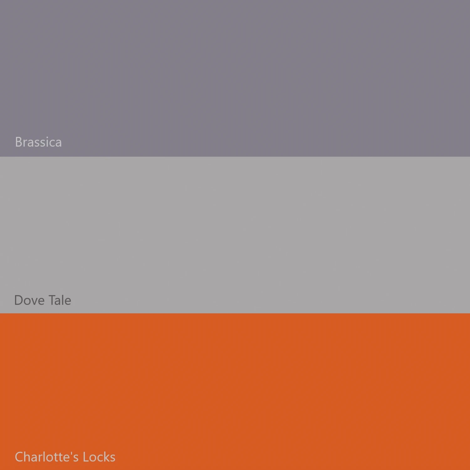 Image alt text-image