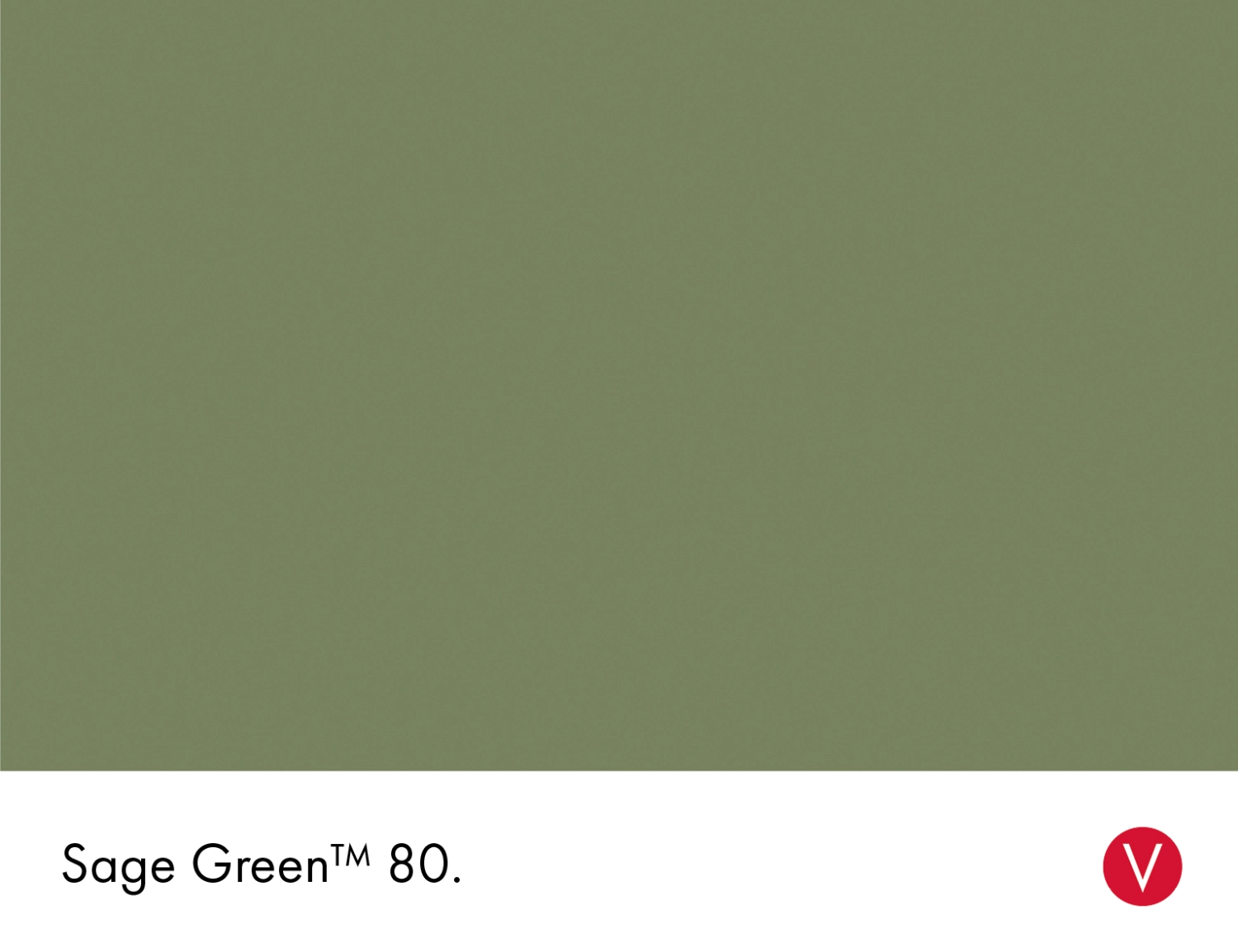 Little Greene Absolute Matt Emulsion - Sage Green No. 80 - 1L-image