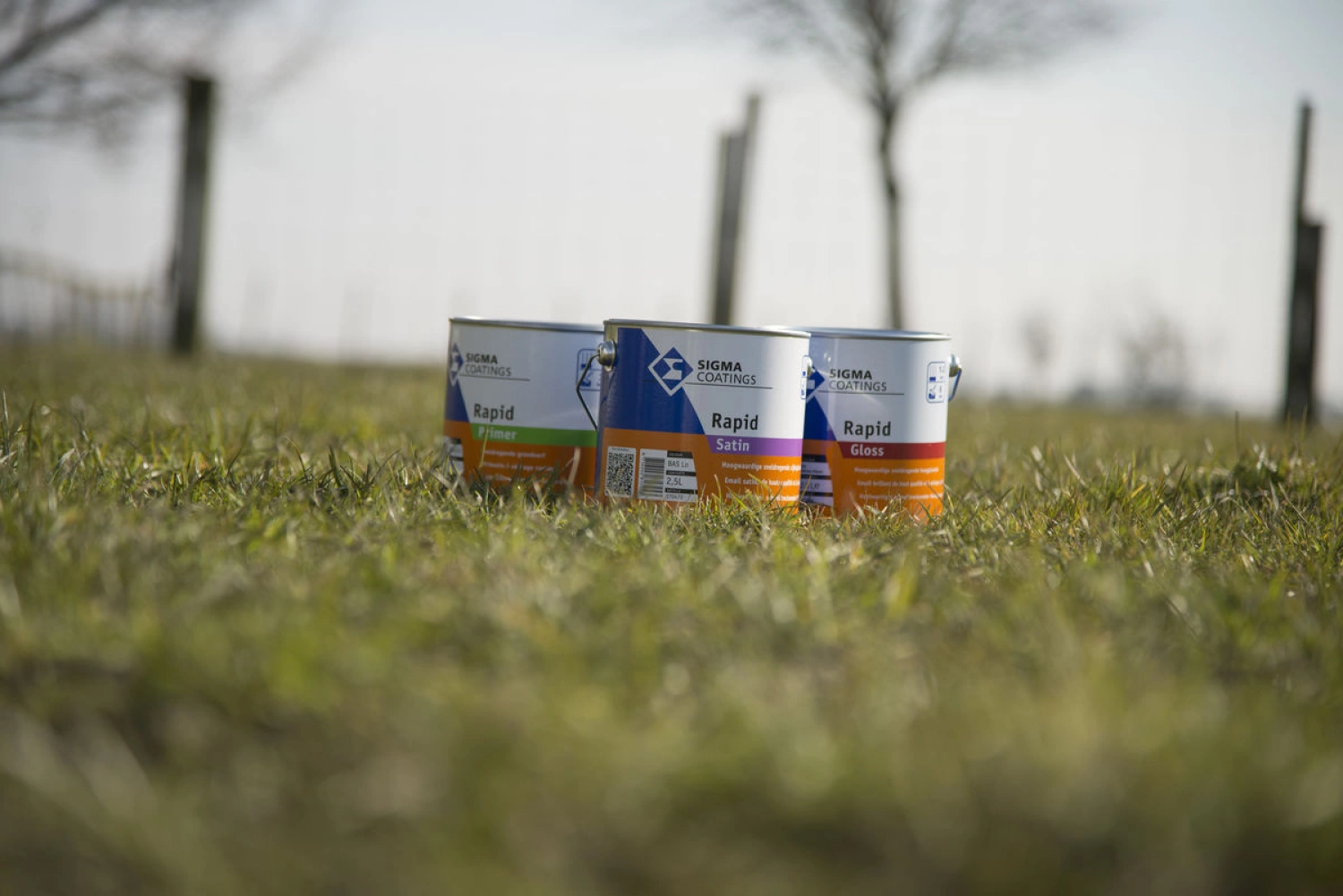 Sigma Rapid Gloss - 1L-image