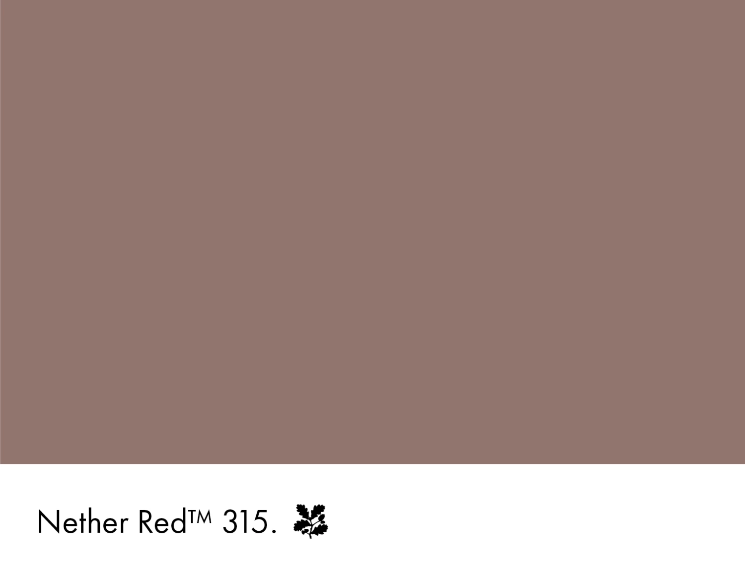 Little Greene Absolute Matt Emulsion - Nether Red No. 315 - 2,5L-image