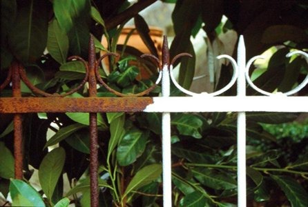 Image alt text-image