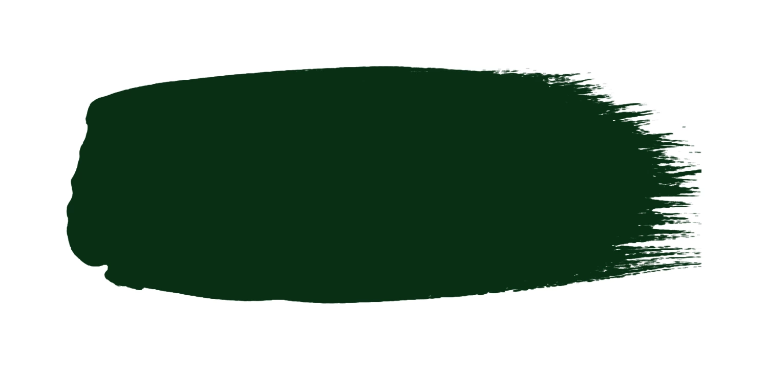 Little Greene Intelligent Masonry Paint - Dark Brunswick Green No. 88 - 5L-image