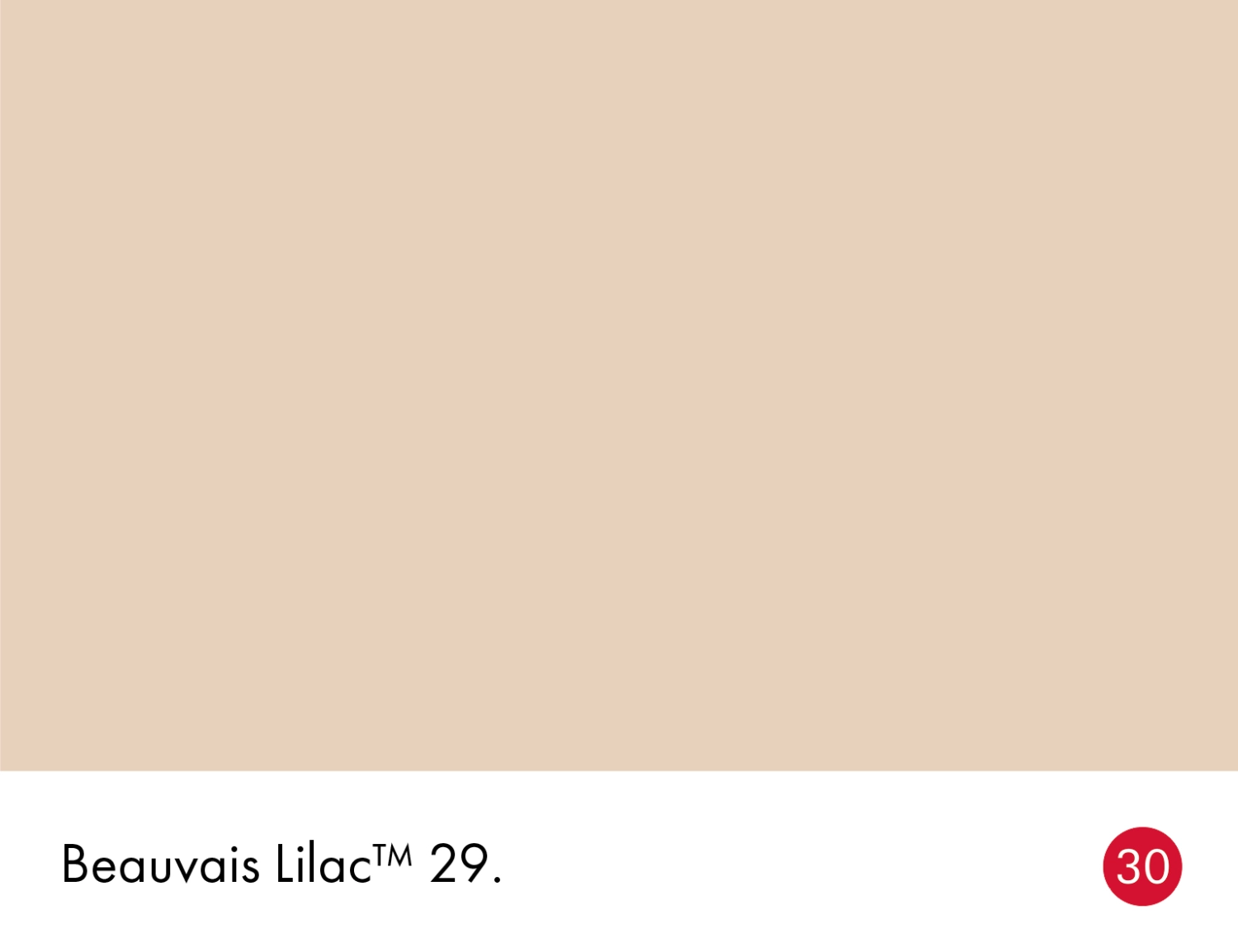 Little Greene Intelligent Matt Emulsion - Beauvais Lilac No. 29 - 10L-image