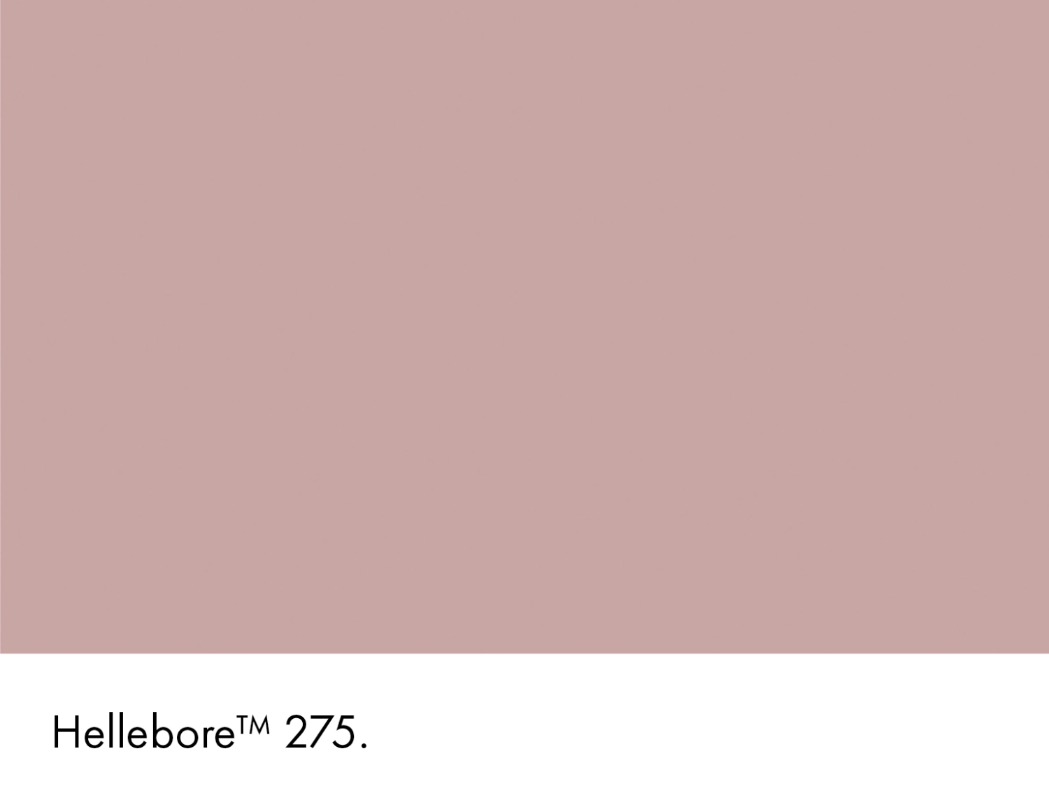 Little Greene Intelligent Eggshell - Hellebore No. 275 - 1L-image