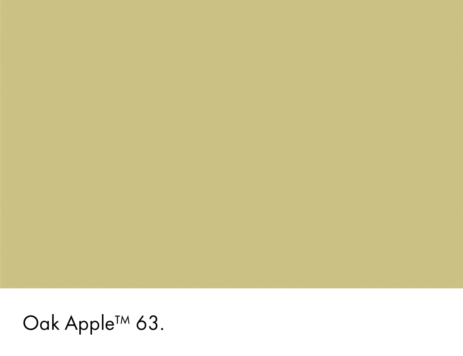 Little Greene Intelligent Exterior Eggshell - Oak Apple™ No. 63 - 2,5L-image