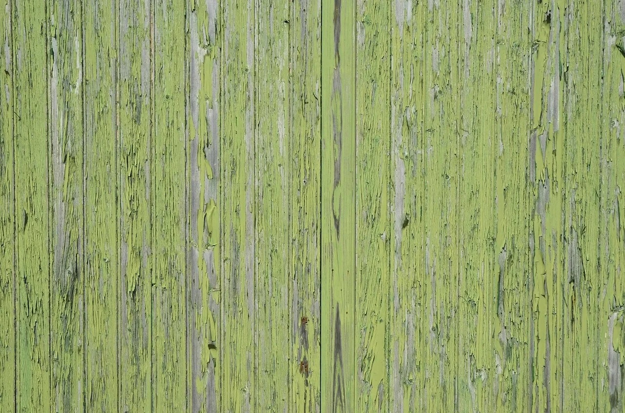 Image alt text-image