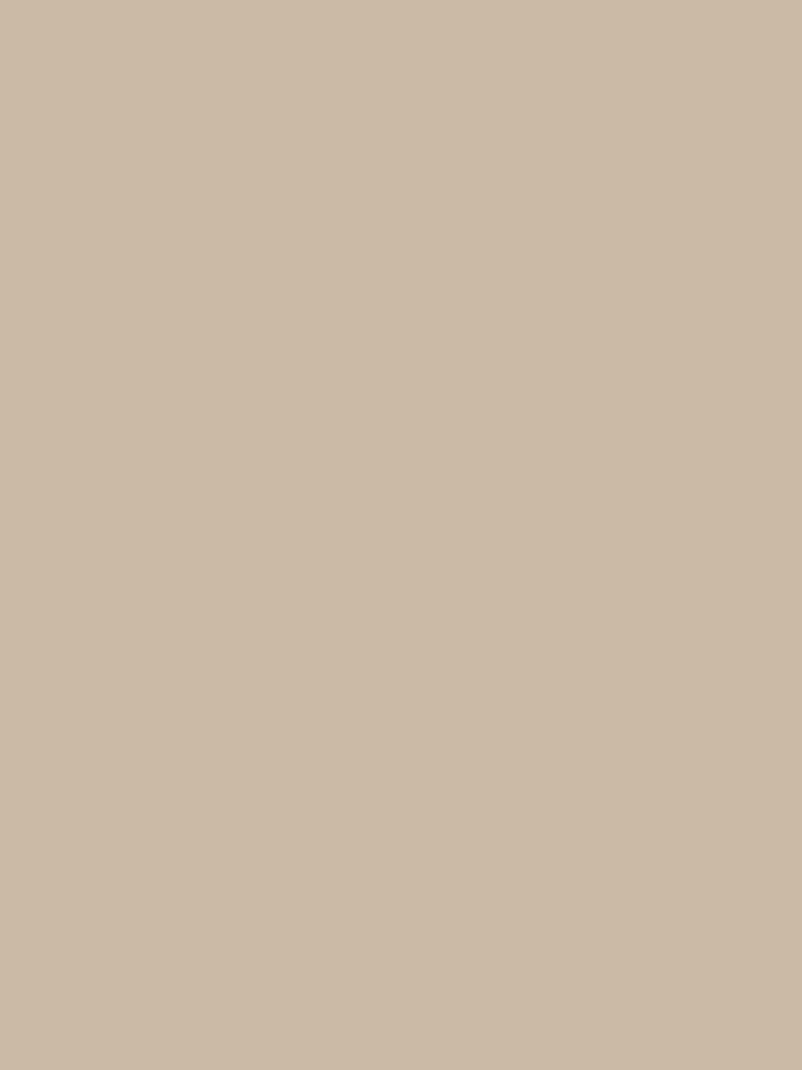 Flamant Samplepot 125ml 2673 Dunes 273-image