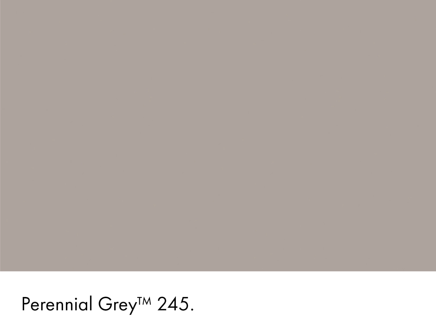 Little Greene Intelligent Gloss - Perennial Grey No. 245 - 1L-image