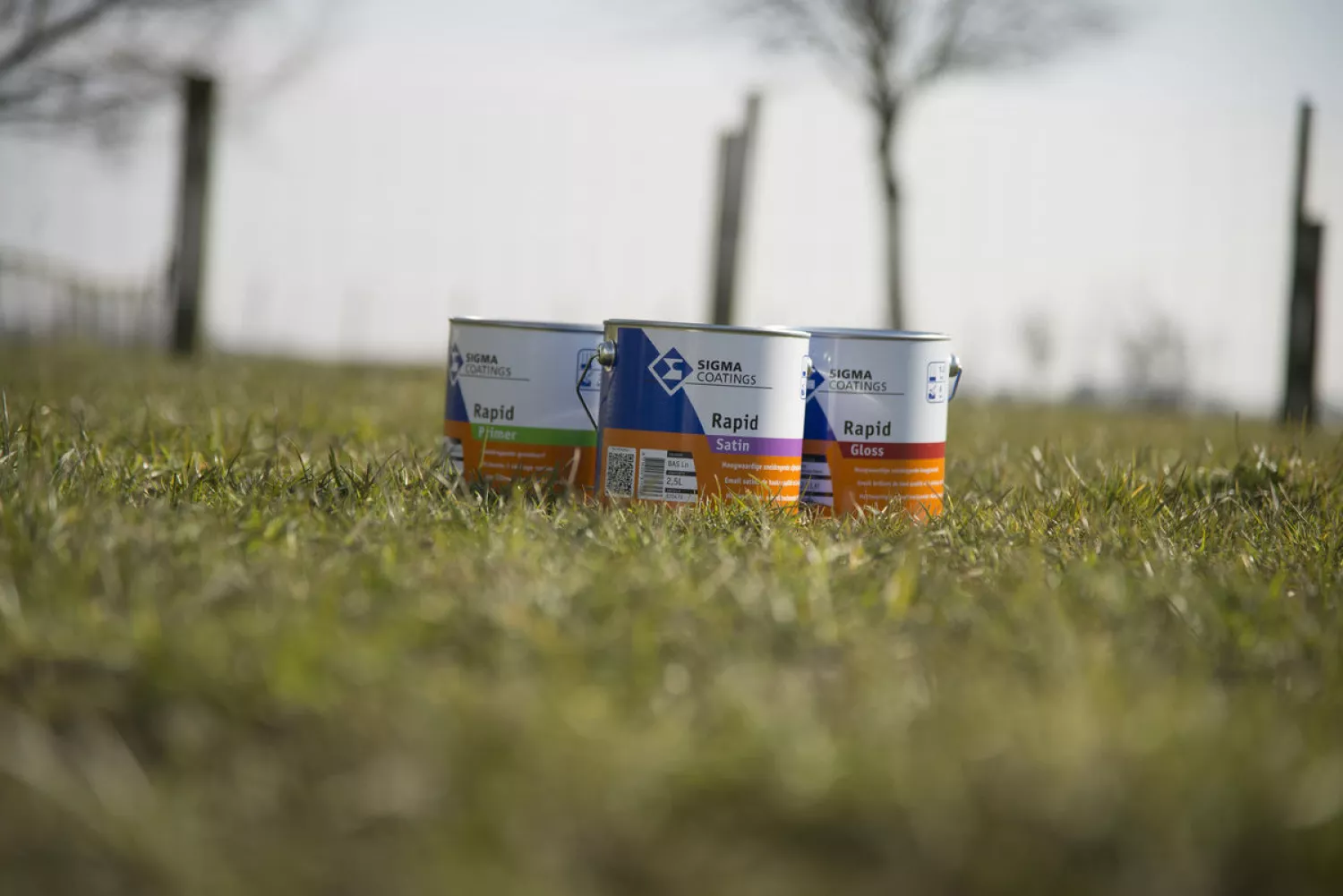 Sigma Rapid Gloss - 2,5L-image