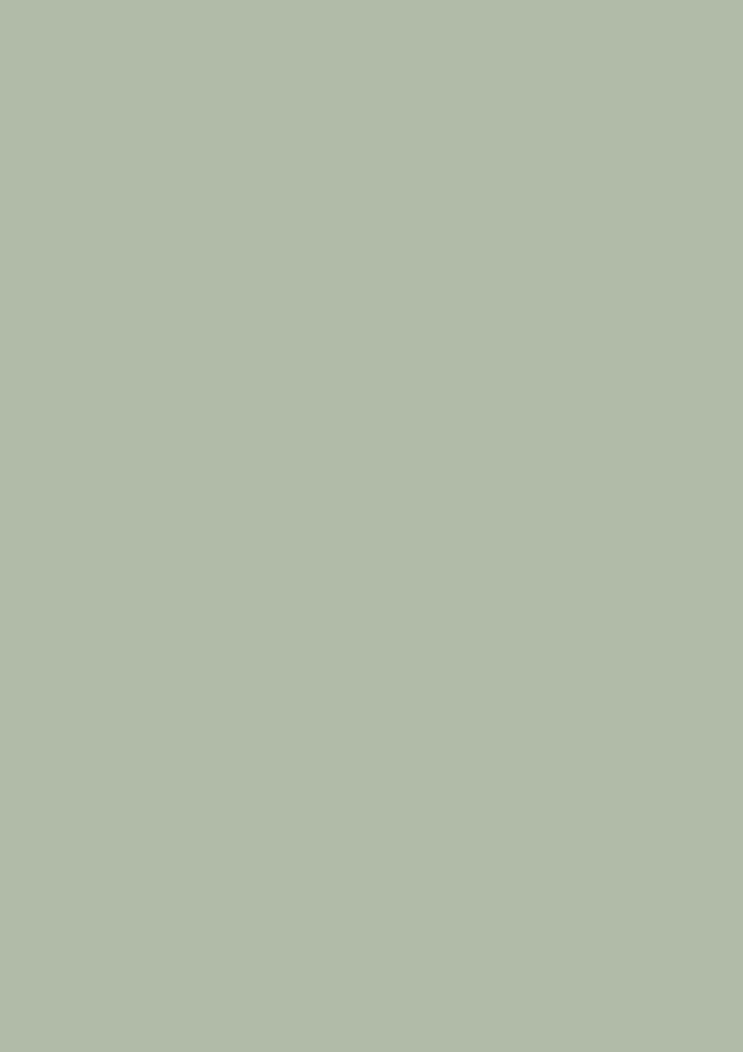 Farrow & Ball Dead flat Hardwick White No.5 5L-image