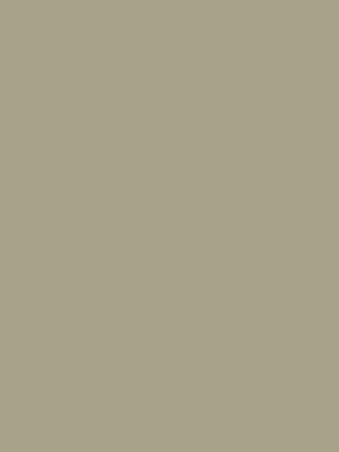 Flamant Samplepot 125ml P27 Poussiere-image