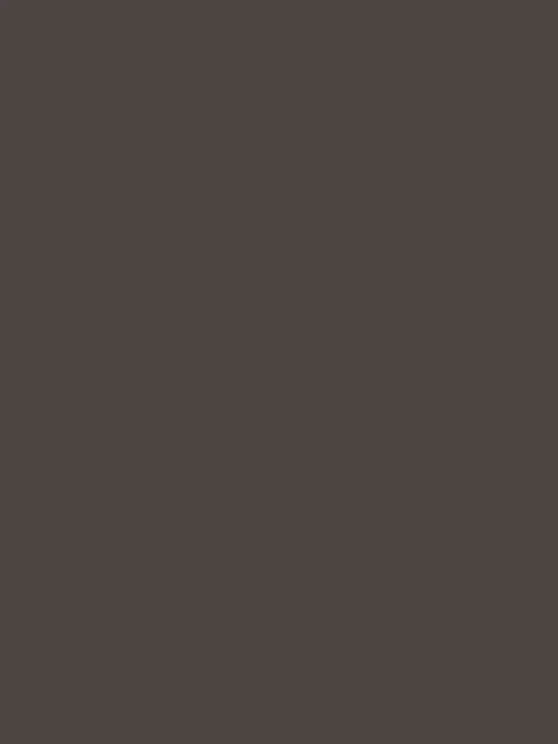 Flamant Samplepot 125ml P47 Chocolat-image