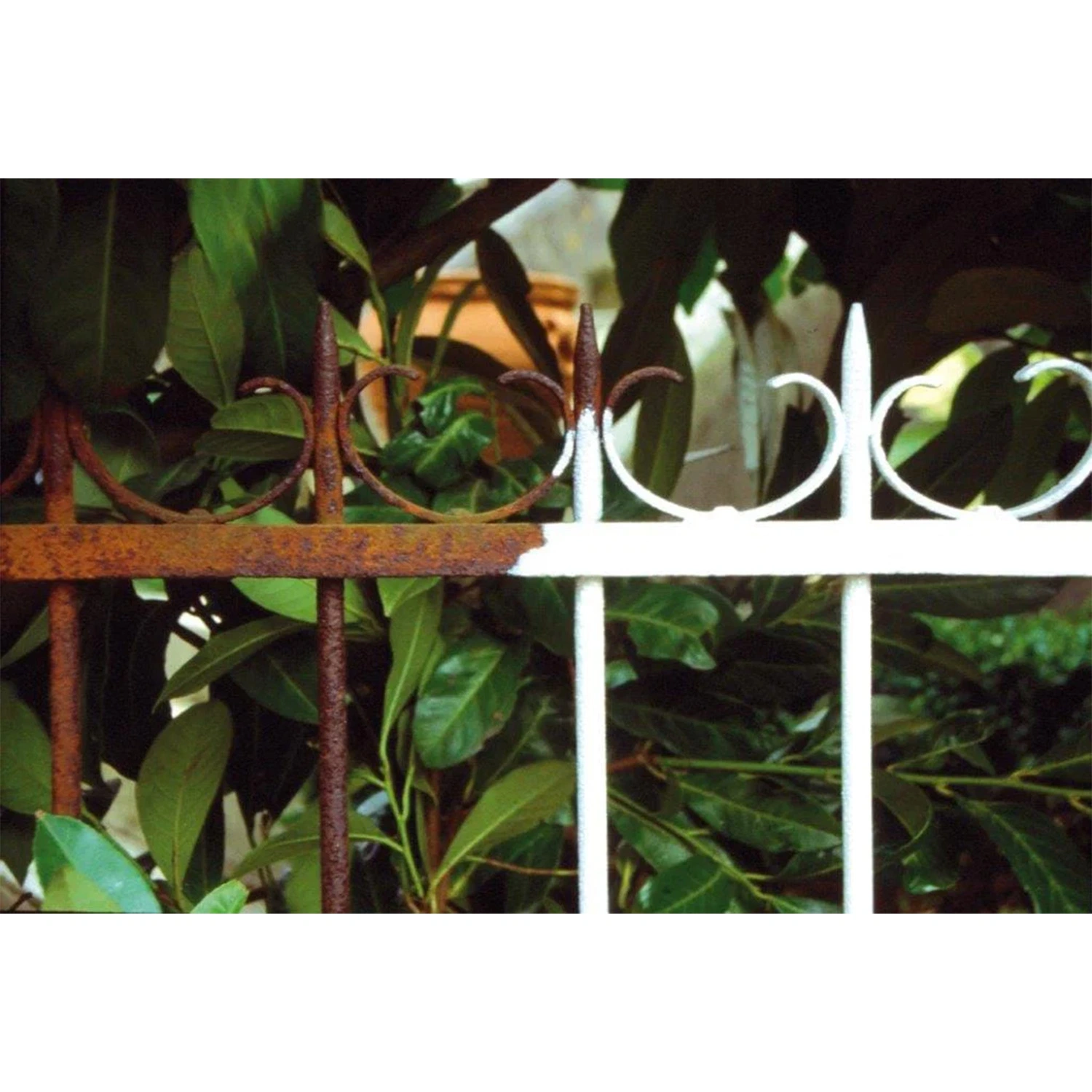 Owatrol Olie 0,5L