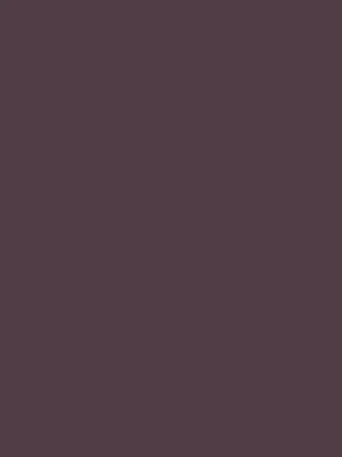 Flamant Samplepot 125ml Se 302 Prunes-image
